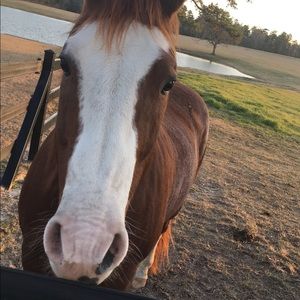 Meet your Posher, Kaylee